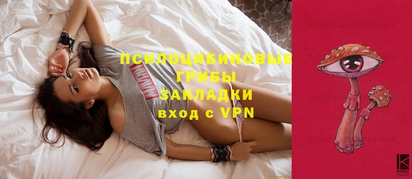 МДПВ Вязьма