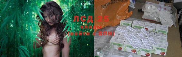 мяу мяу мука Саяногорск