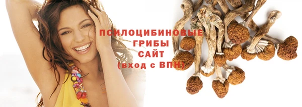 МДПВ Вязьма