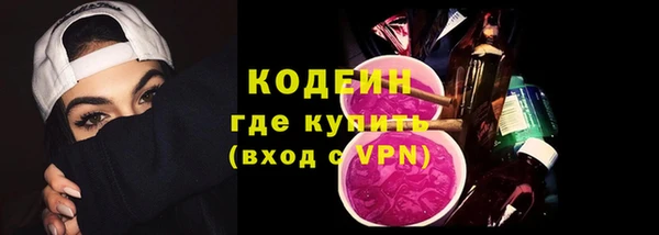 дмт Вяземский