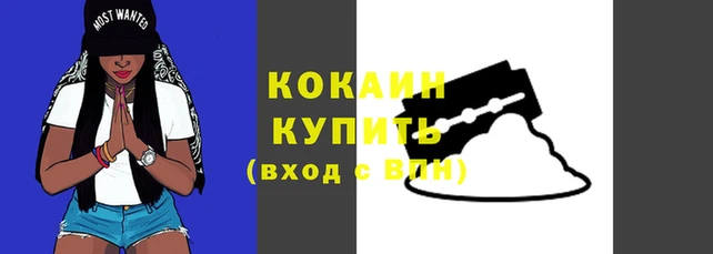 дмт Вяземский