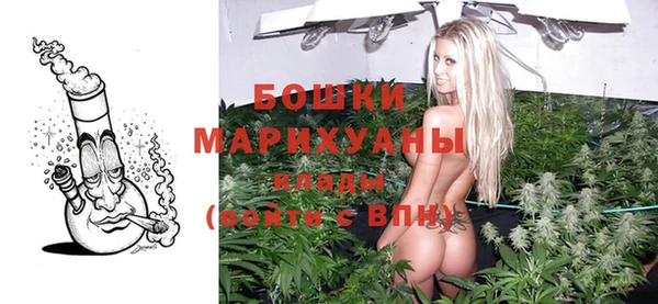 дмт Вяземский