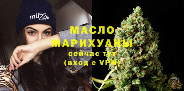 дмт Вяземский