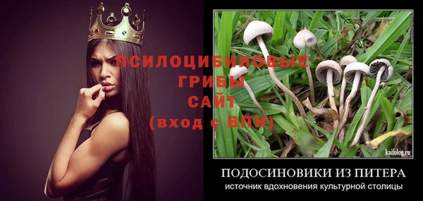 дмт Вяземский