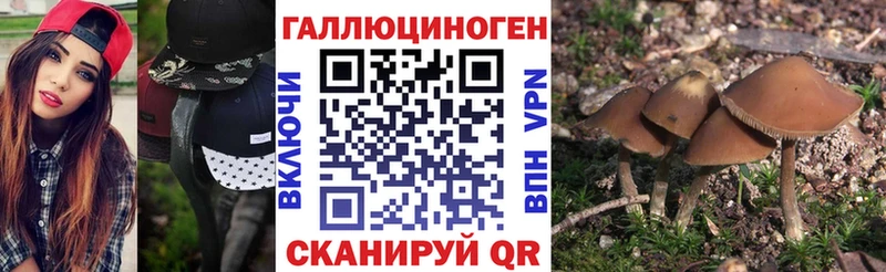 Псилоцибиновые грибы прущие грибы  Ярцево 